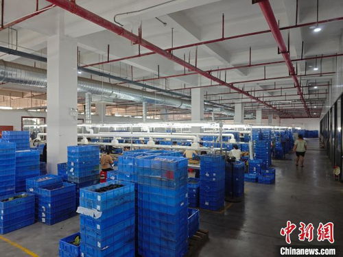 港資企業在贛扎根，與江西發展同頻共振，一路繁花技術開發